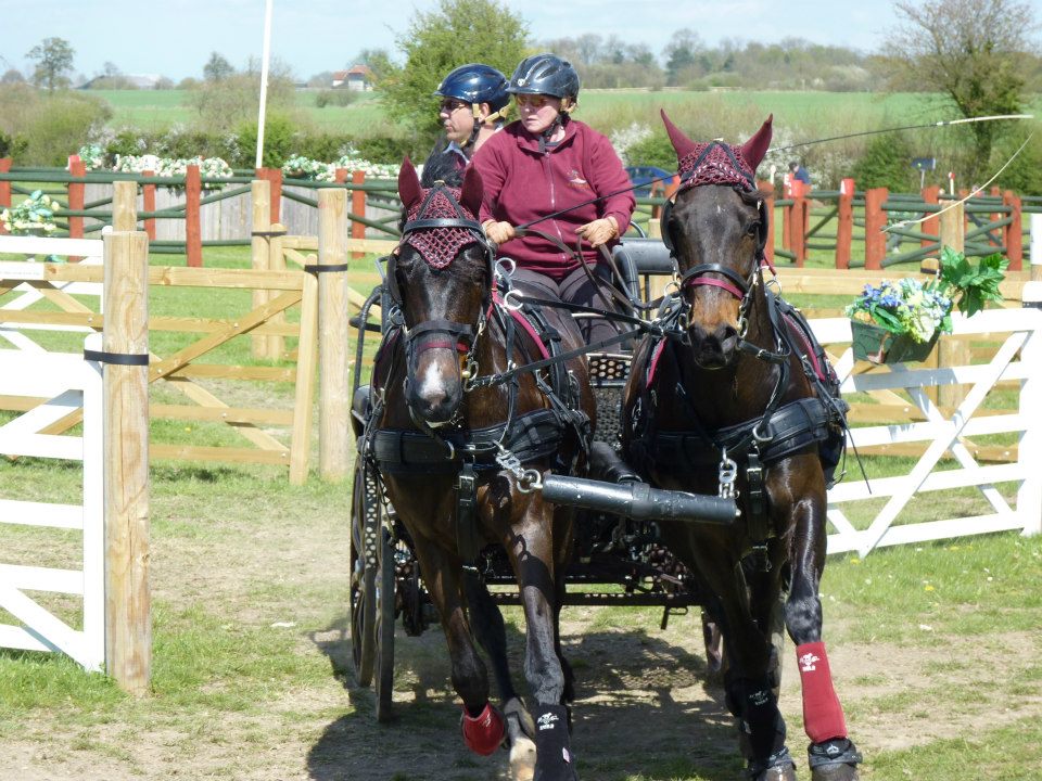 British Morgan Horse Society